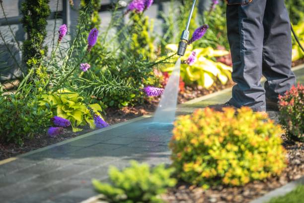 Best Pre-Holiday Cleaning  in Highspire, PA