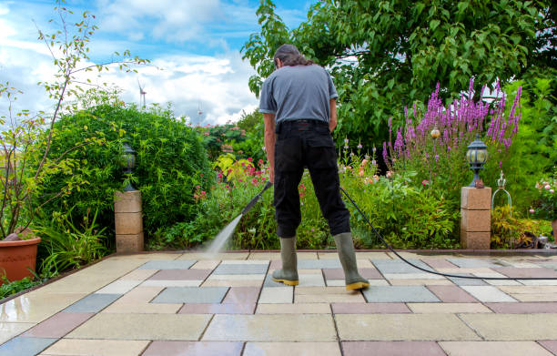 Best Fence Cleaning  in Highspire, PA